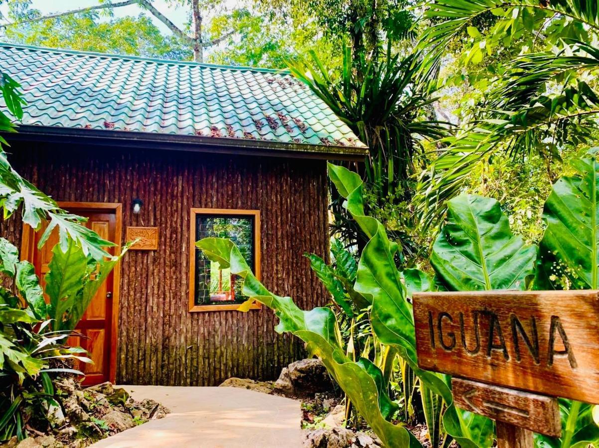 Mariposa Jungle Lodge San Ignacio Eksteriør billede