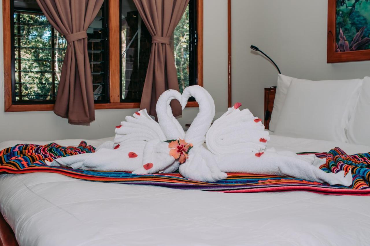 Mariposa Jungle Lodge San Ignacio Eksteriør billede