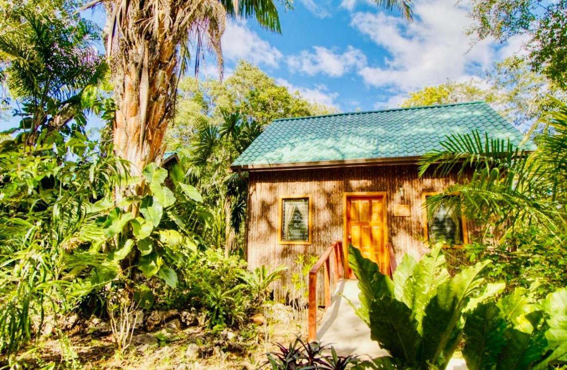 Mariposa Jungle Lodge San Ignacio Eksteriør billede