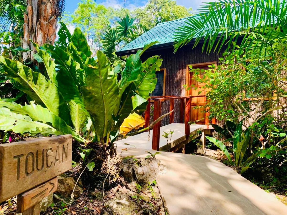 Mariposa Jungle Lodge San Ignacio Eksteriør billede