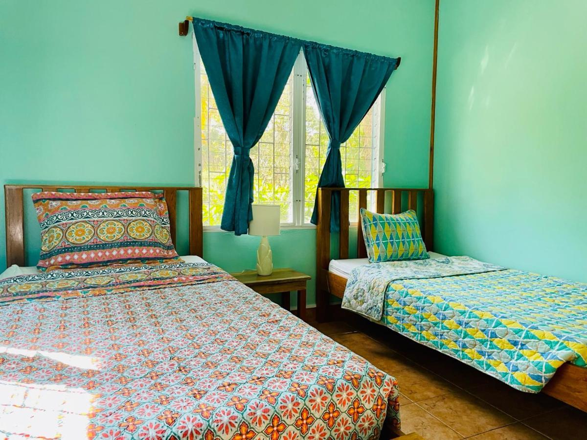 Mariposa Jungle Lodge San Ignacio Eksteriør billede