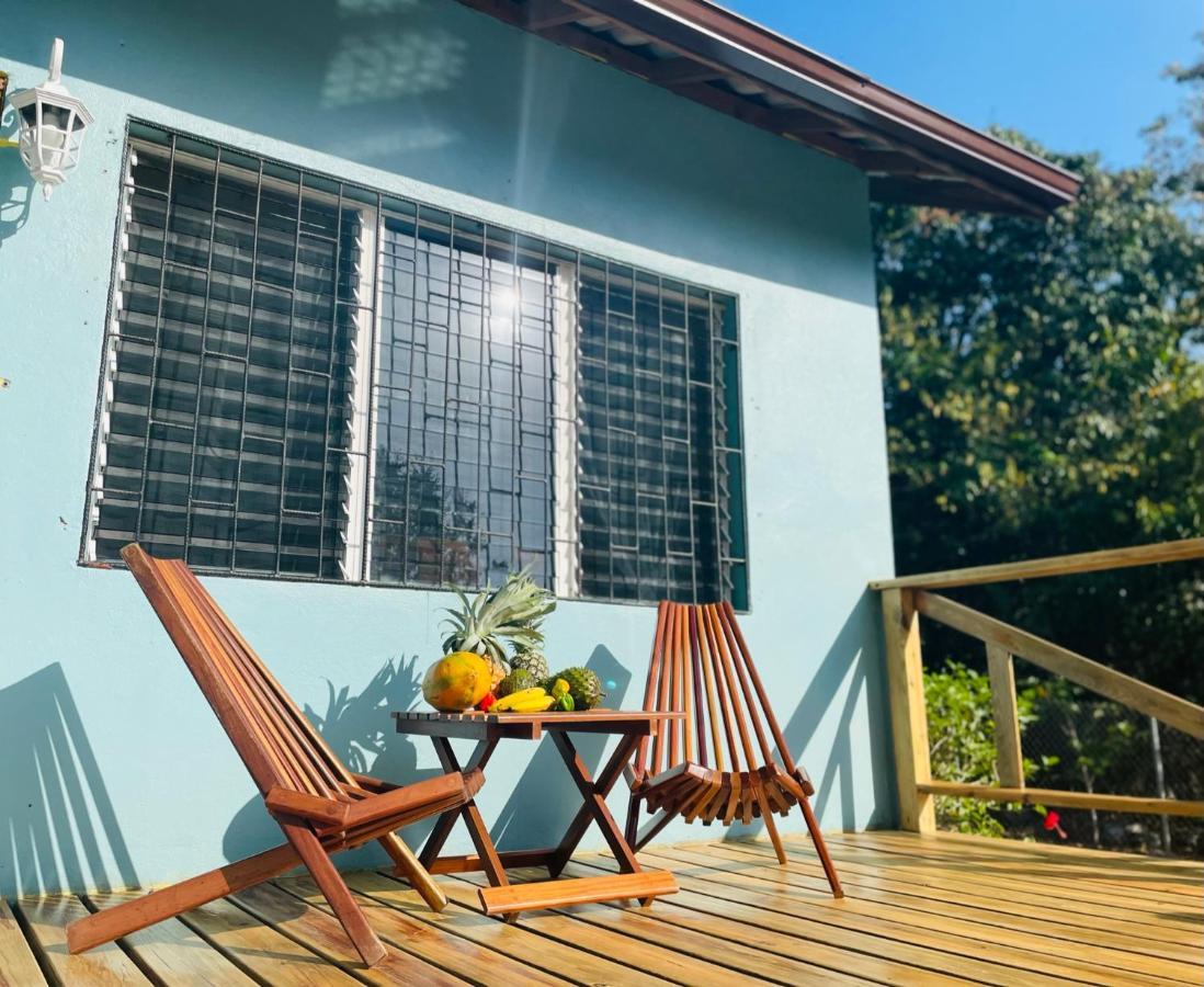 Mariposa Jungle Lodge San Ignacio Eksteriør billede