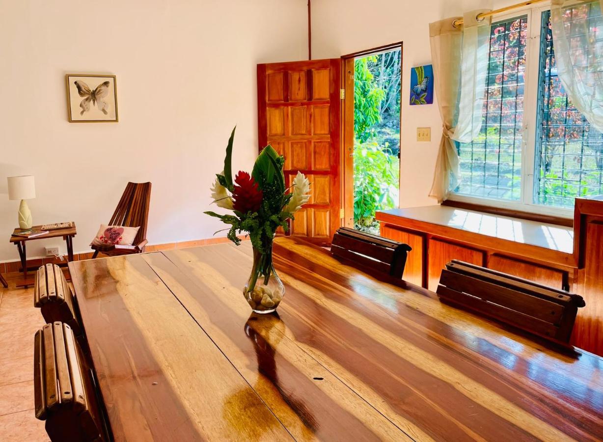 Mariposa Jungle Lodge San Ignacio Eksteriør billede