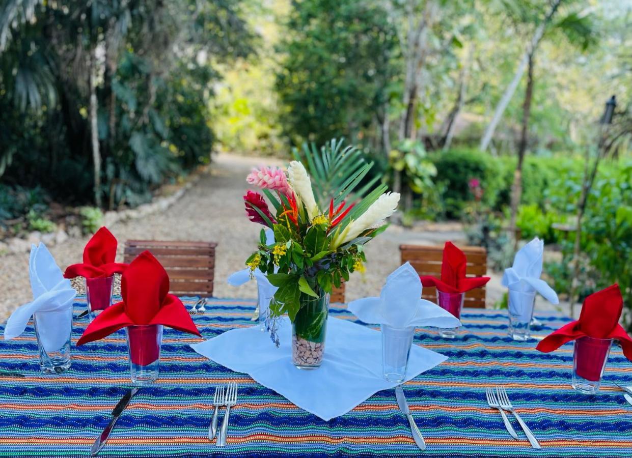 Mariposa Jungle Lodge San Ignacio Eksteriør billede
