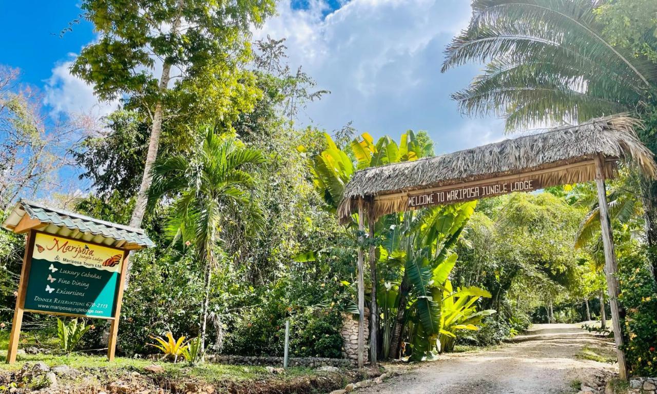 Mariposa Jungle Lodge San Ignacio Eksteriør billede