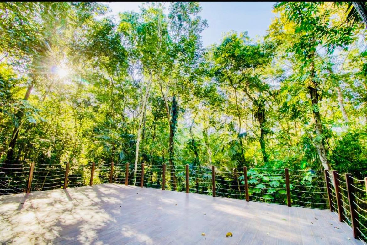 Mariposa Jungle Lodge San Ignacio Eksteriør billede