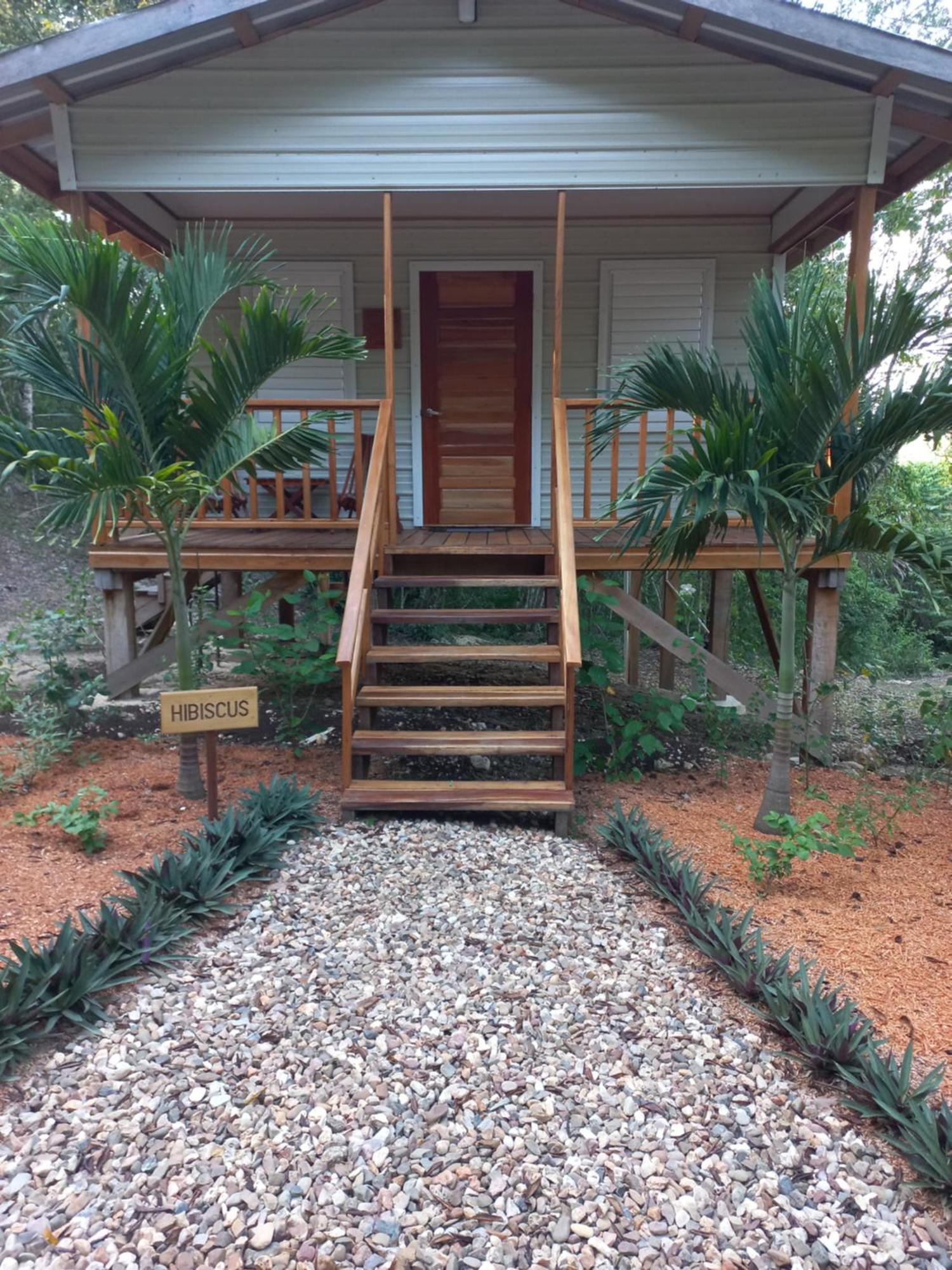 Mariposa Jungle Lodge San Ignacio Eksteriør billede